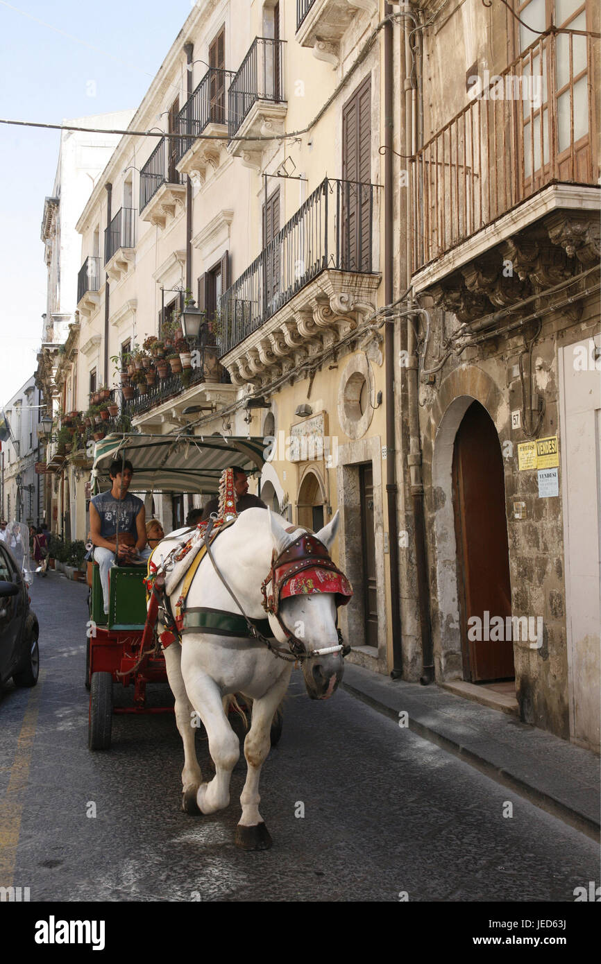 L'Italia, Sicilia, isola di Ortigia, Siracusa, città vecchia, a cavallo del carrello, Europa meridionale, Siracusa, lane, street, carrello, cavallo e carrello il carrello viaggio, visite turistiche, destinazione, turismo, Foto Stock