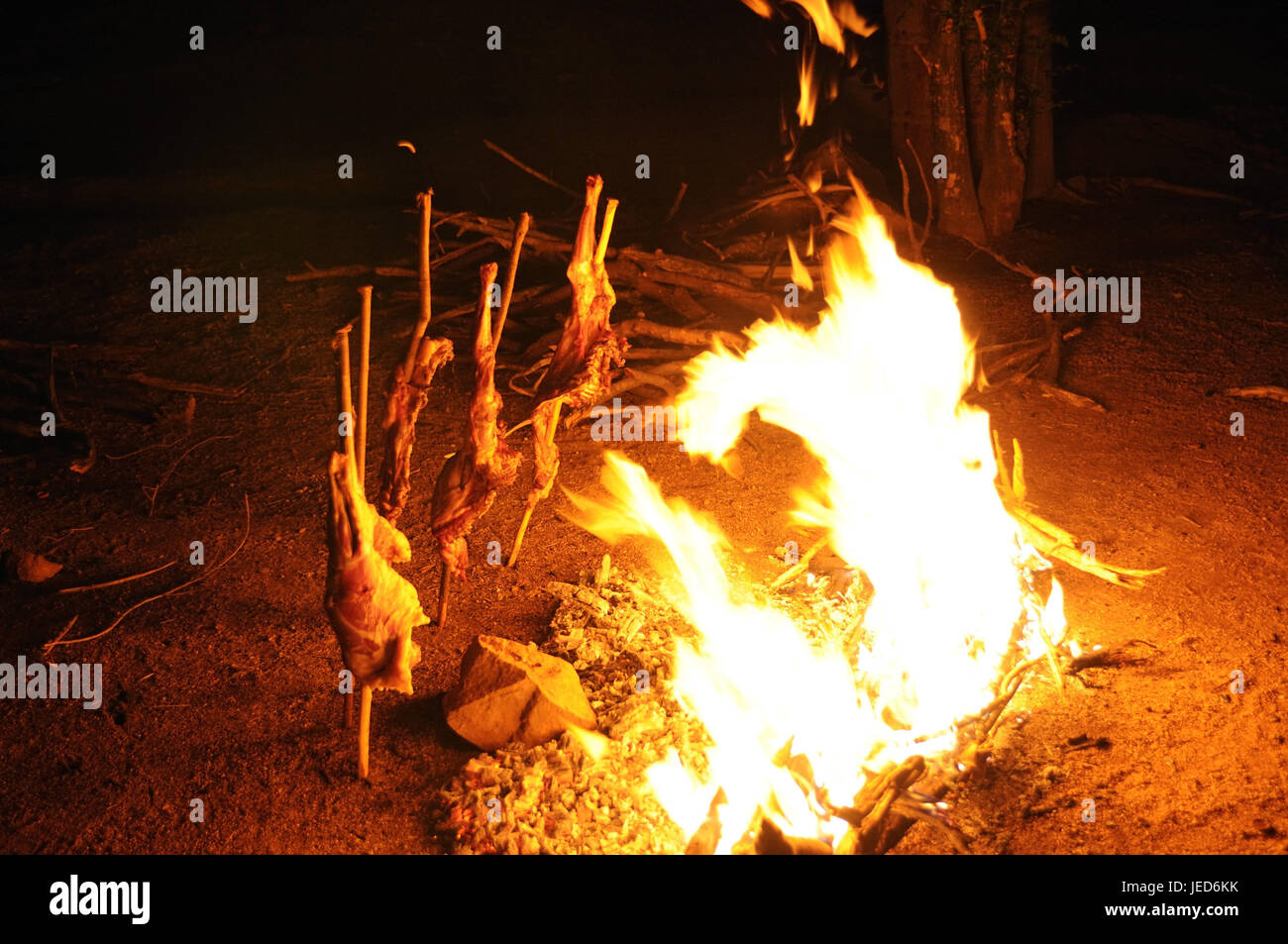 Camino, carne, preparazione, barbecue, tradizionalmente, Omotal sud, sud Etiopia, Foto Stock