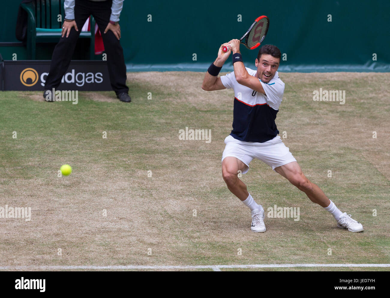 Roberto Bautista Agut della Spagna in azione al venticinquesimo Gerry Weber Open a Halle. Foto Stock