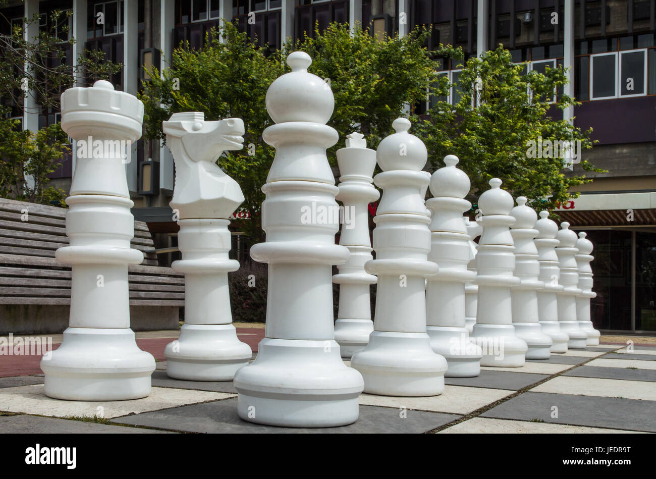 White scacchi in giardino lato. Foto Stock