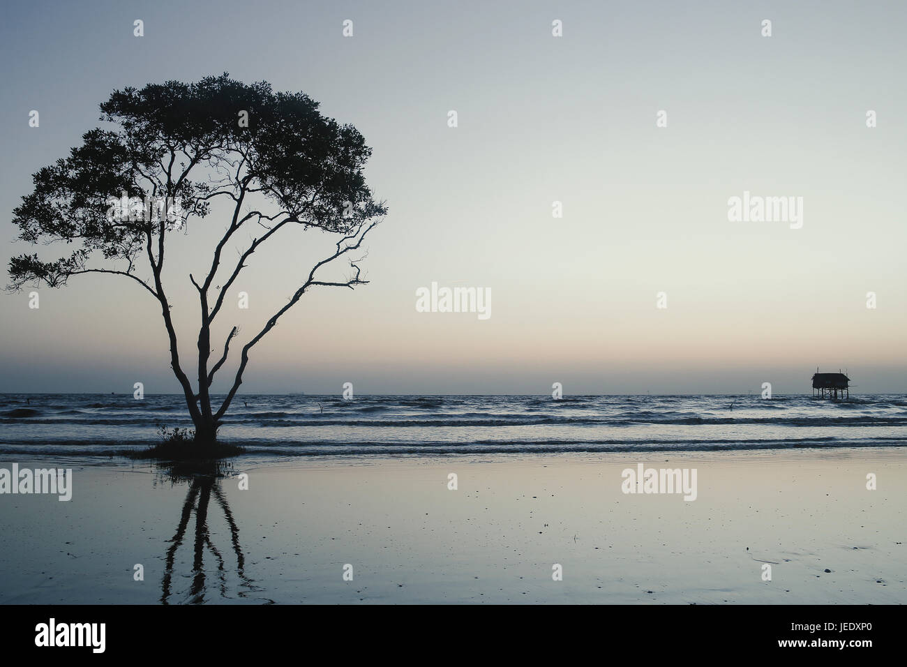 Albero solitario e casa sulla spiaggia nessuno sfondo abtract Tan Thanh Beach Go Cong Viet Nam Foto di viaggio Foto Stock