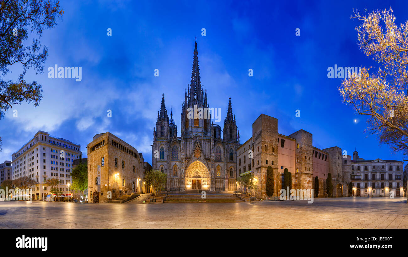 Spagna, Barcellona, vista panoramica della cattedrale di Barcellona Foto Stock