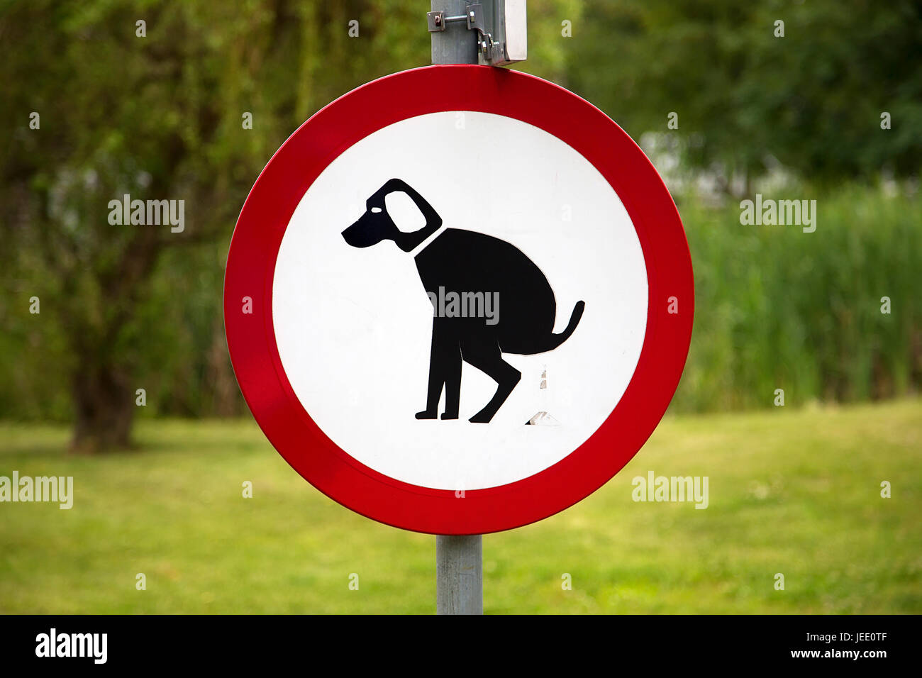 Cartello Divieto Di Accesso Ai Cani - VSafety 51007 AF-S - Adesivo Quadrato 100x100 Mm - Norme EN ISO 7010