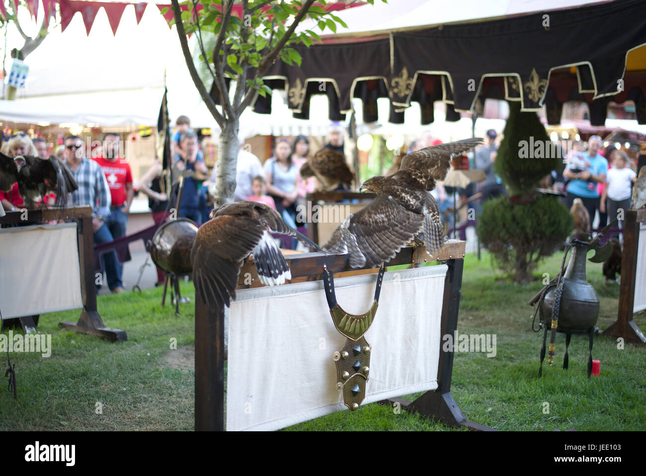 El Alamo mercato medievale, 2017. El Álamo, Madrid, Spagna Foto Stock
