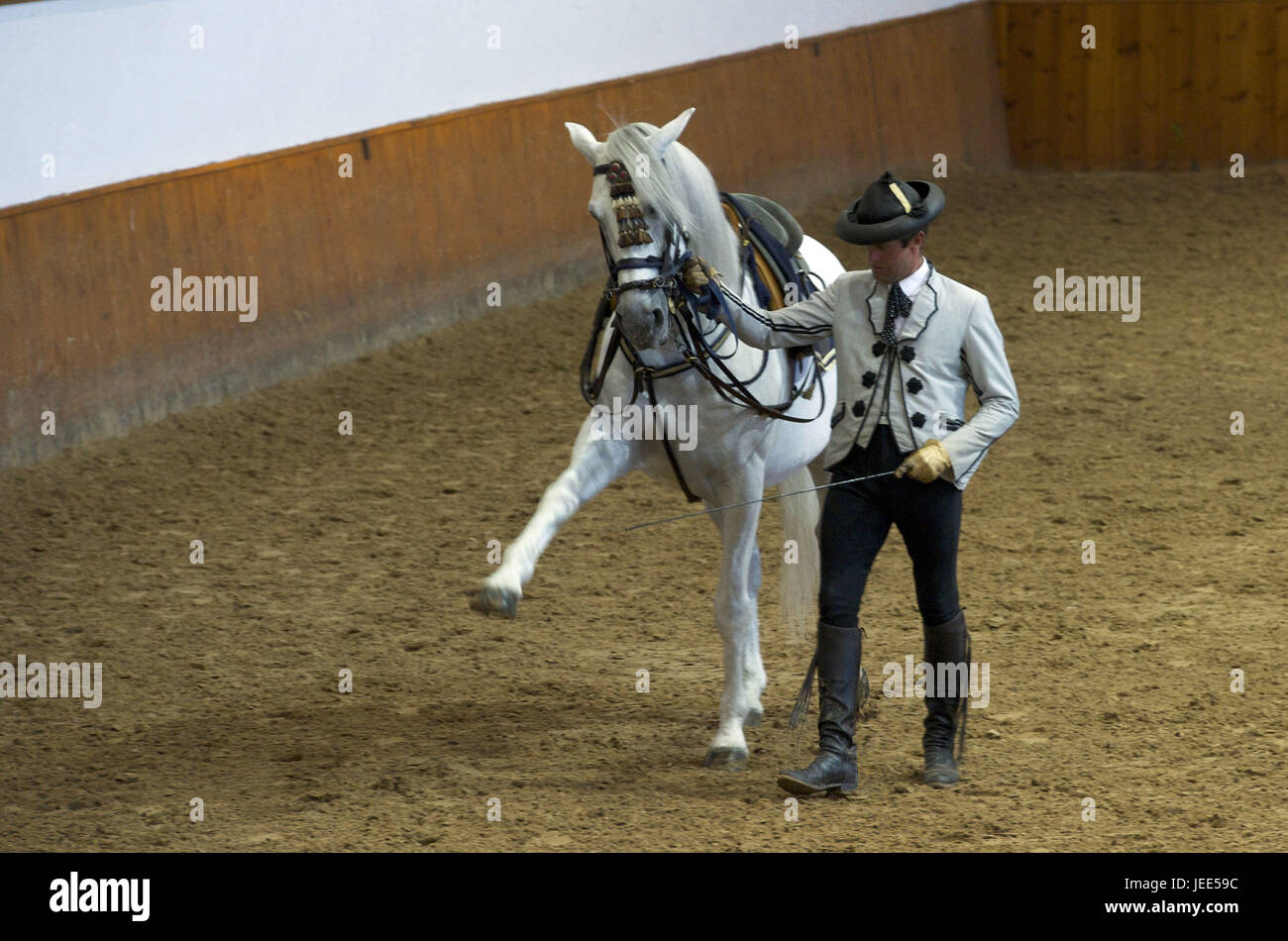 Spagna, Andalusia, provincia di Cadiz, Jerez de la Frontera, Spurgo del regio-andaluso accademia di equitazione dalla presentazione del corso di formazione, Foto Stock