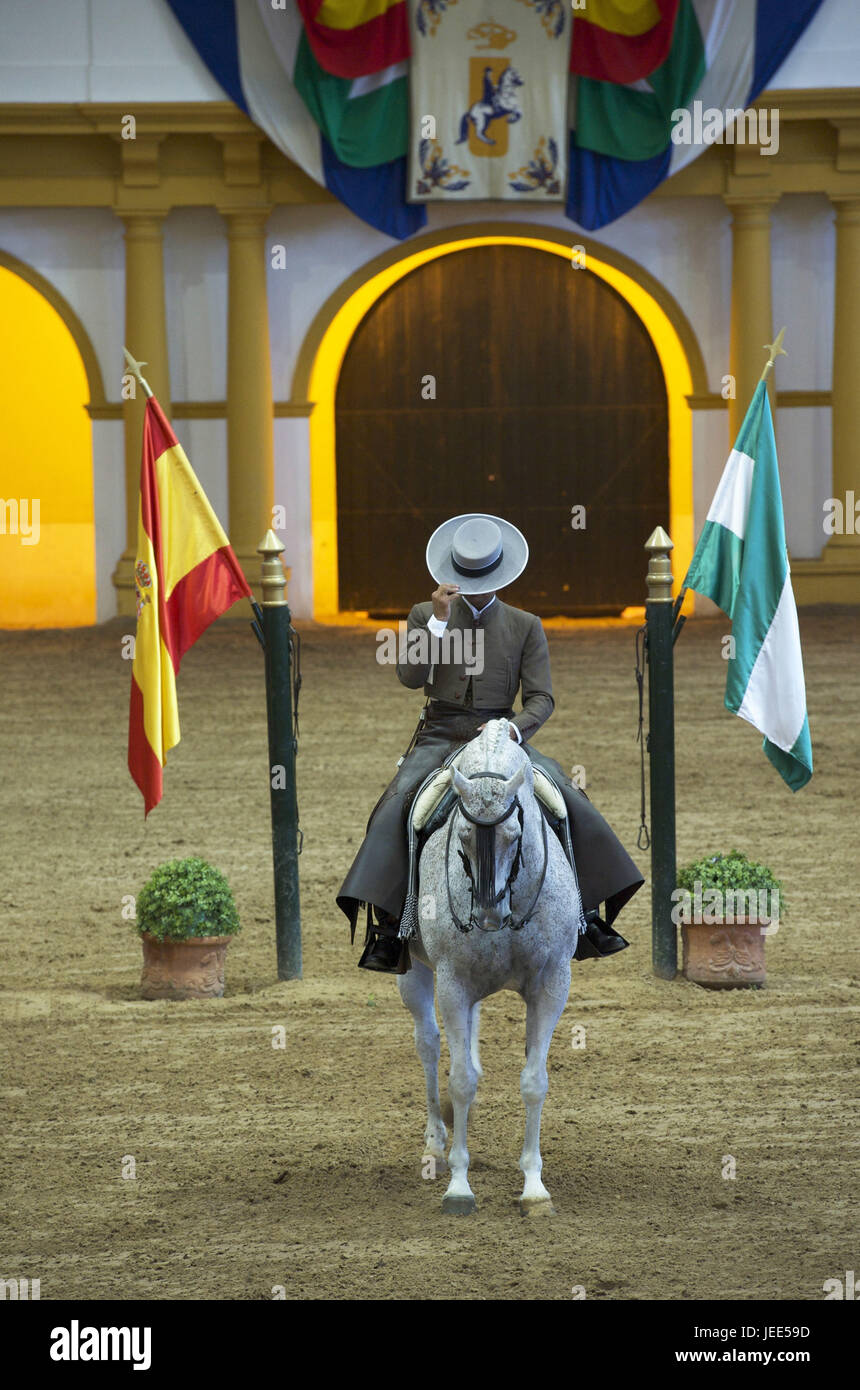 Spagna, Andalusia, provincia di Cadiz, Jerez de la Frontera, Spurgo del regio-andaluso accademia di equitazione dalla presentazione del corso di formazione, Foto Stock