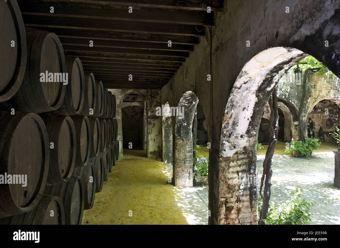 Spagna, Andalusia, provincia di Cadiz, Jerez de la Frontera sherry produttore González-Byas, Foto Stock