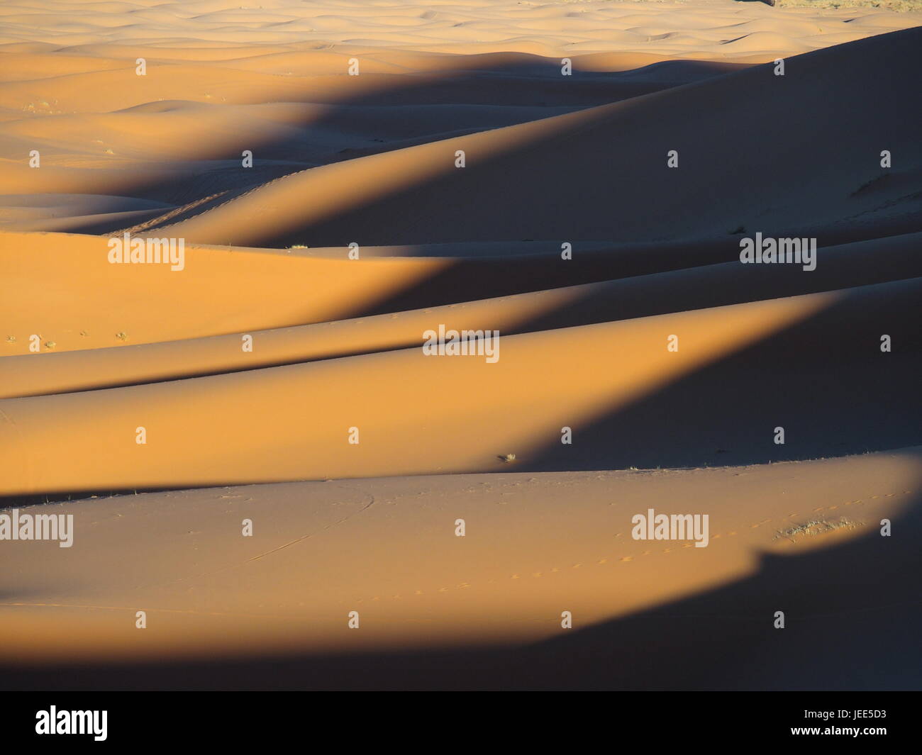 ERG CHEBBI dunes intervallo vicino al città di Merzouga con paesaggio del deserto sabbioso formazioni nel sud-est del Marocco vicino al confine con la ALGIERIA, cielo blu chiaro, Foto Stock