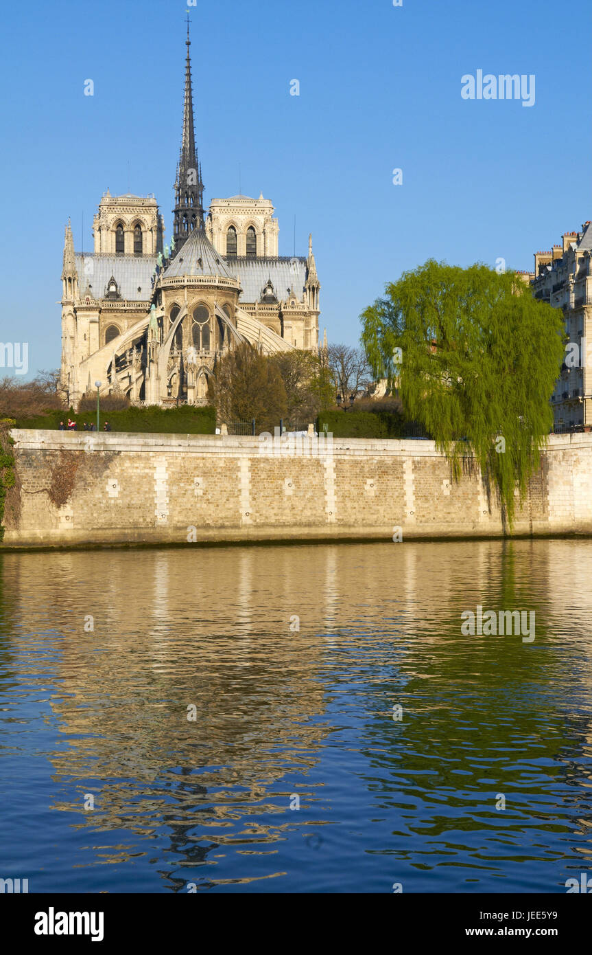 Francia, Parigi, visualizzare a Notre Dama, Foto Stock