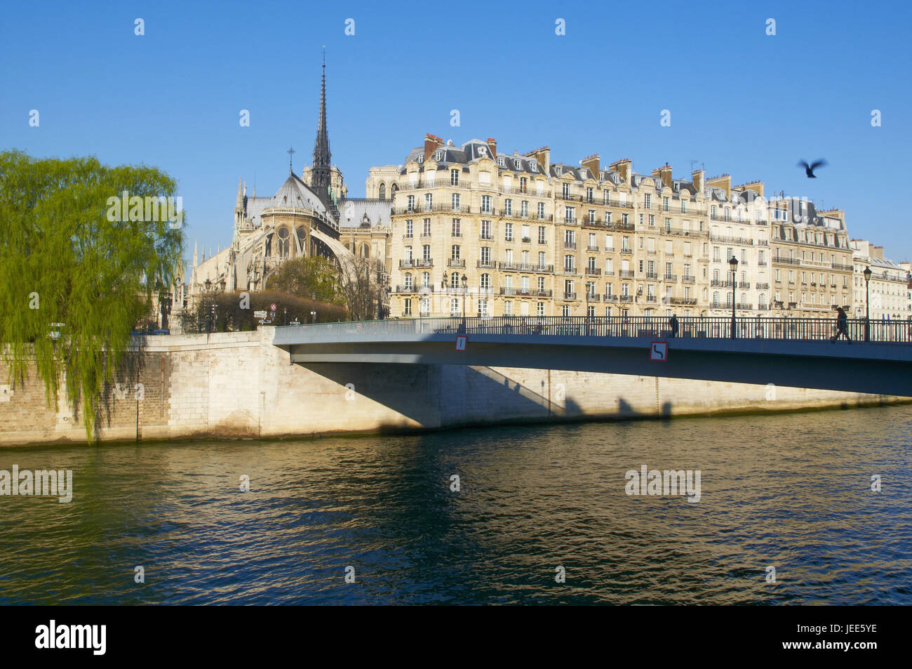 Francia, Parigi, visualizzare a Notre Dama, Foto Stock