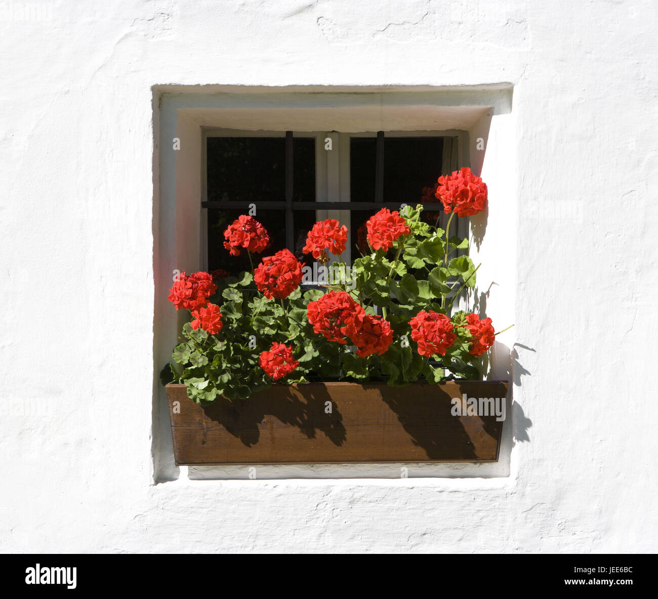 Austria, camera di sale di proprietà, Fuschl nel lago, cane mark mill, decorazione floreale, Foto Stock