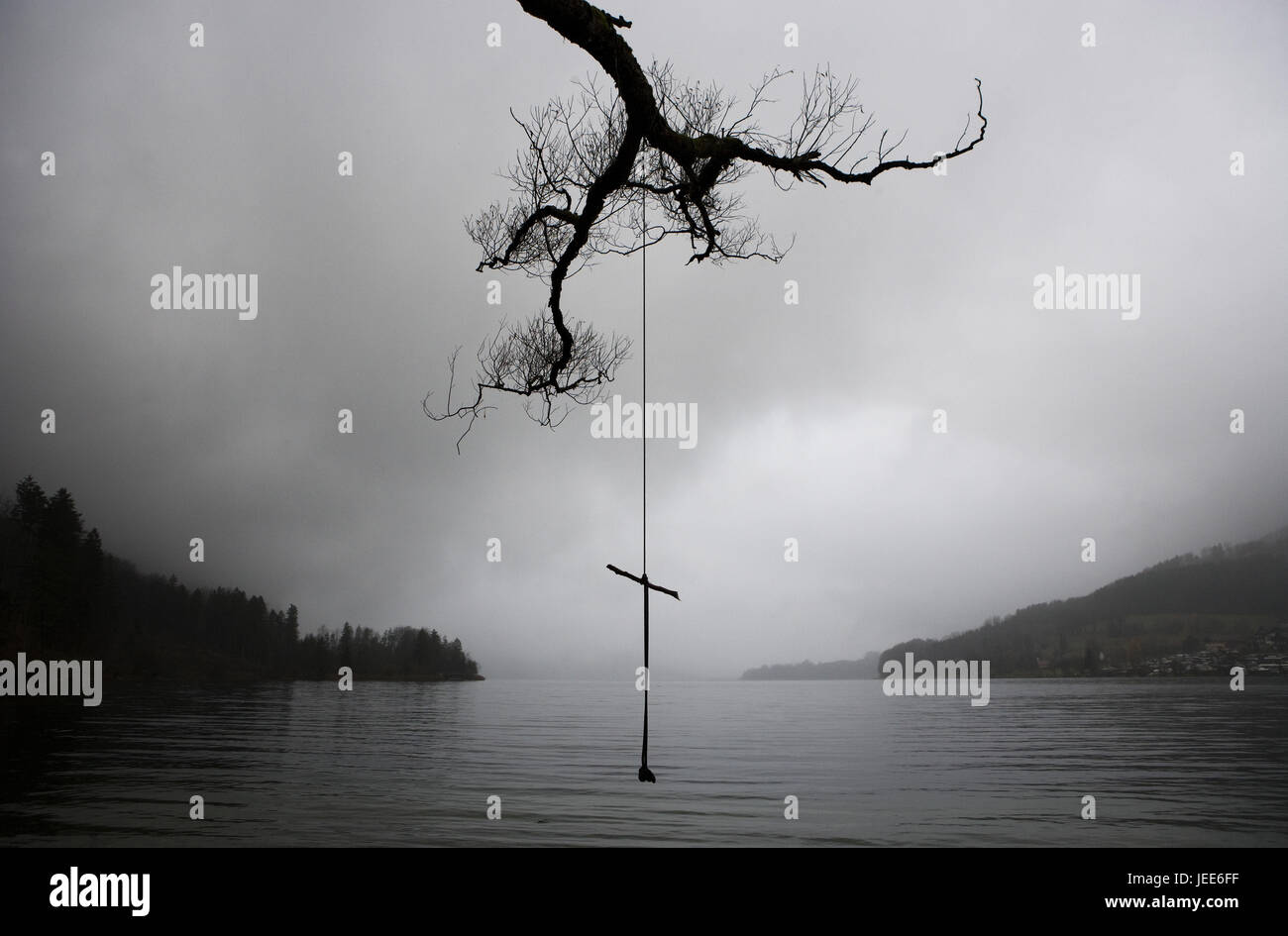 Lakeside, albero, corda, silhouette, s/w, Foto Stock