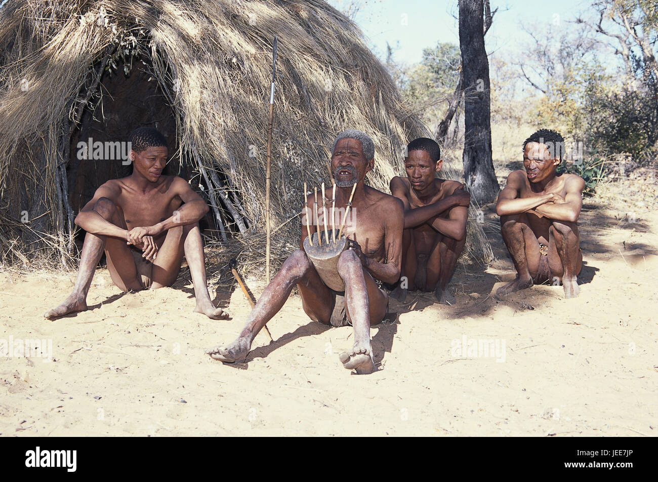 Della Namibia, il Kalahari, Grashoek, Boscimani, strumento, fare musica, sit n. modello di rilascio, Africa, Sud Africa, destinazione, luogo di interesse, Africana, la gente del posto e i Boscimani, San, persone al di fuori, non bianchi, tribù, tradizione, quattro ascoltare squat, canzone, musica, presentate spennate strumento, acciaierie di erba, Foto Stock