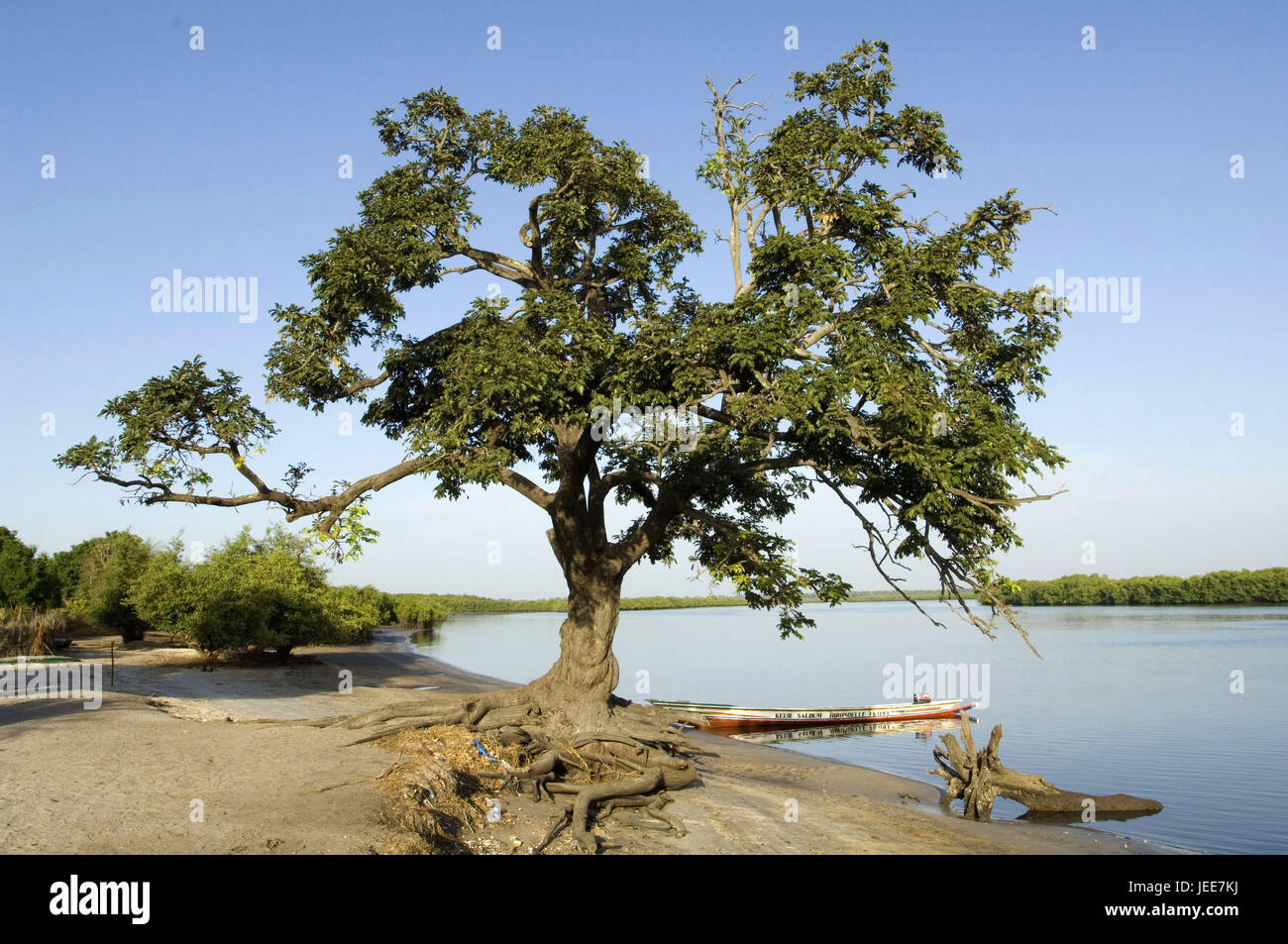 Villaggio Sipo, fiume, Riva, Piroge, delta del Saloum, Senegal, Foto Stock