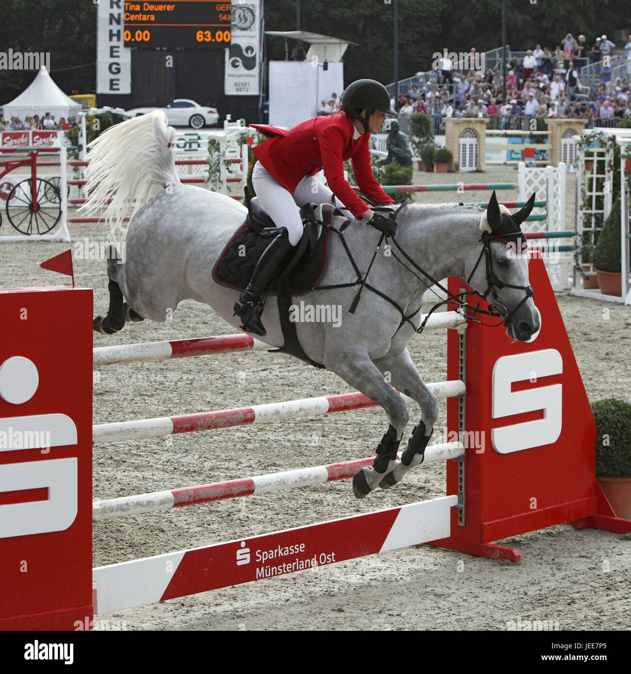 Corse di cavalli, il campionato tedesco di salto e formazione nel 2010 a Münster, Springreiterinnen, Tina Deuerer su Centara, Foto Stock