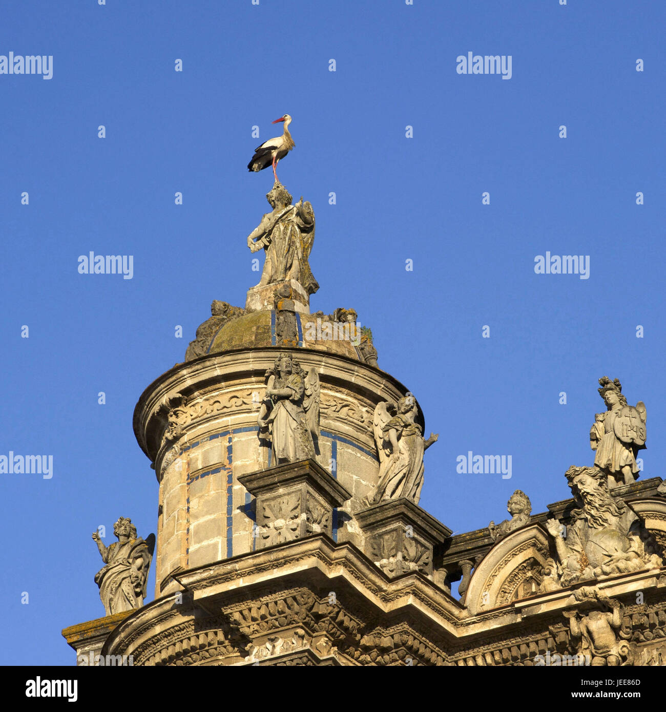 Spagna, Andalusia, provincia di Cadiz, Jerez de la Frontera, Cattedrale di Jerez de la Frontera, Foto Stock