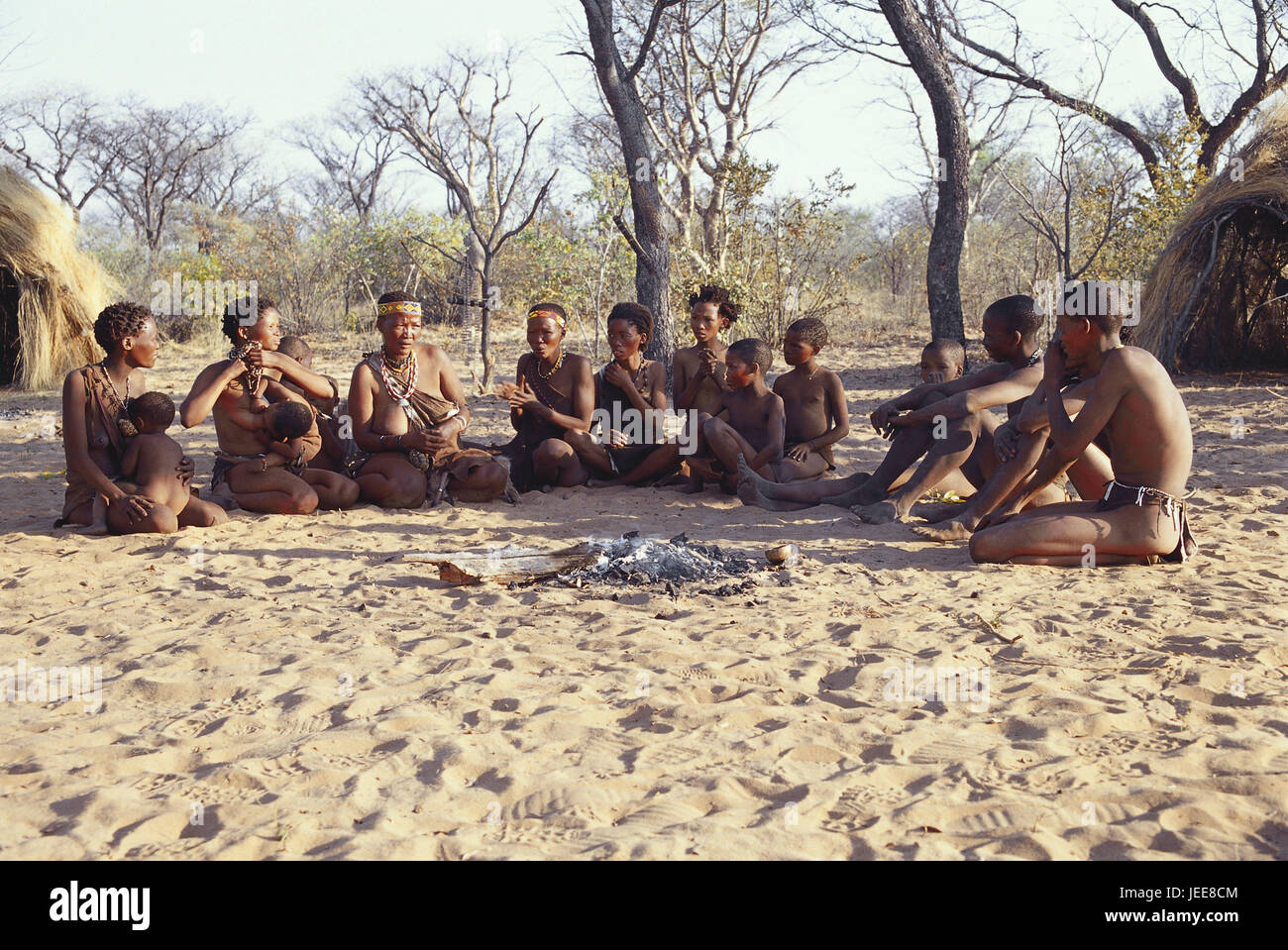 Della Namibia, il Kalahari, Grashoek, i Boscimani, clan, sedersi, falò, nessun modello di rilascio, Africa, Sud Africa, destinazione, luogo di interesse, Africana, la gente del posto e i Boscimani, San, persone al di fuori, non bianchi, tribù, tradizione, le donne e i bambini, caminetto, Foto Stock