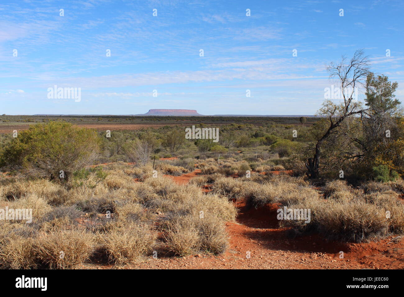 Una vista da una certa distanza sul Monte Conner nell'Outback del Territorio del Nord in Australia Foto Stock