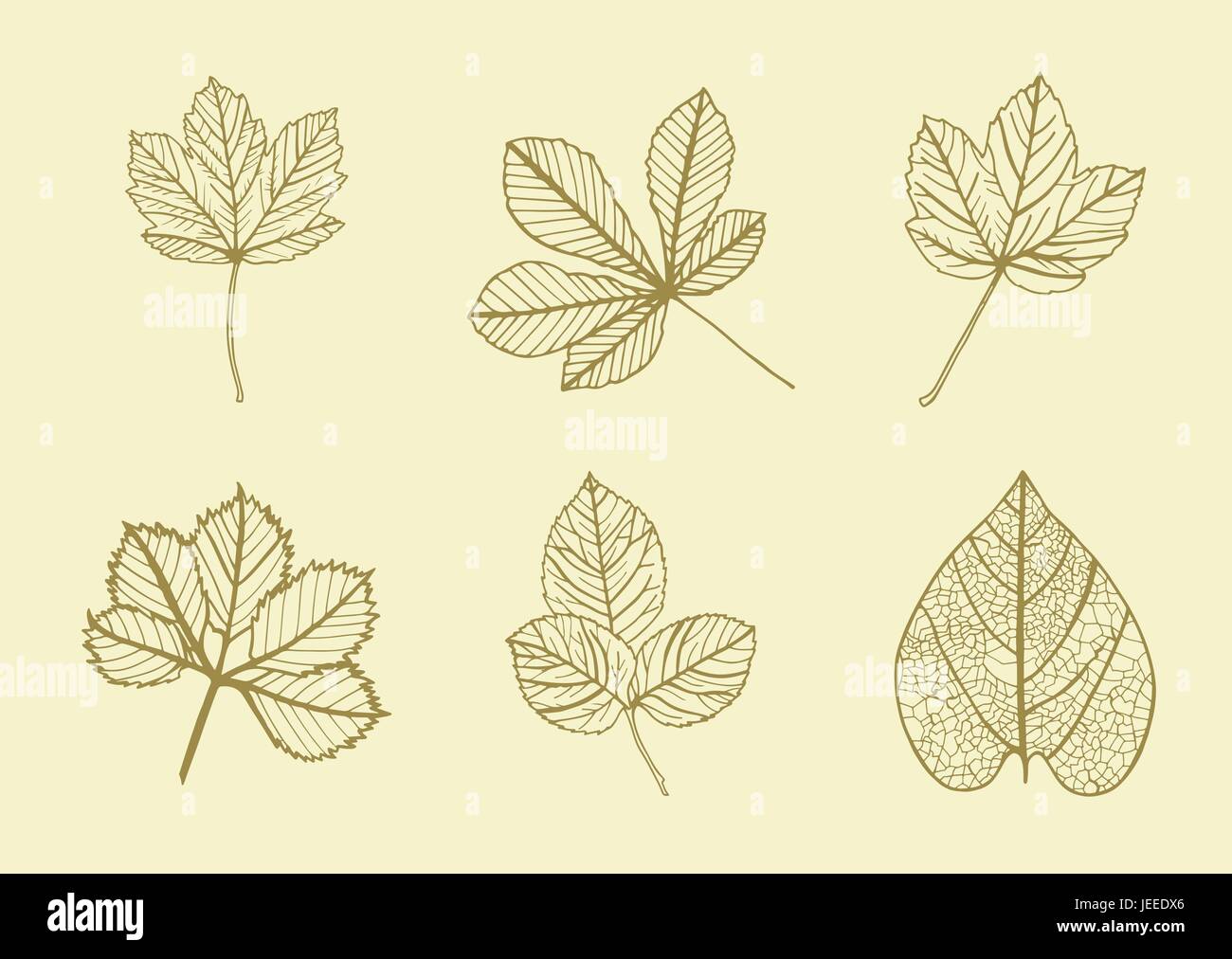 Icona del vettore di varie foglie Illustrazione Vettoriale