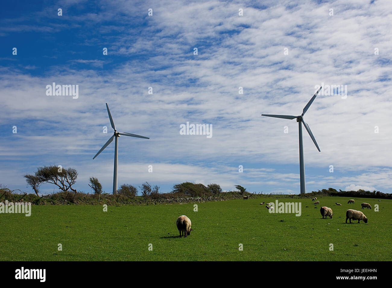 Le turbine eoliche su pascolo con le pecore.British wind farm,il Galles del Nord,Uk.energia verde,produzione di turbine eoliche Uk.fonte di energia rinnovabile in Gran Bretagna. Foto Stock