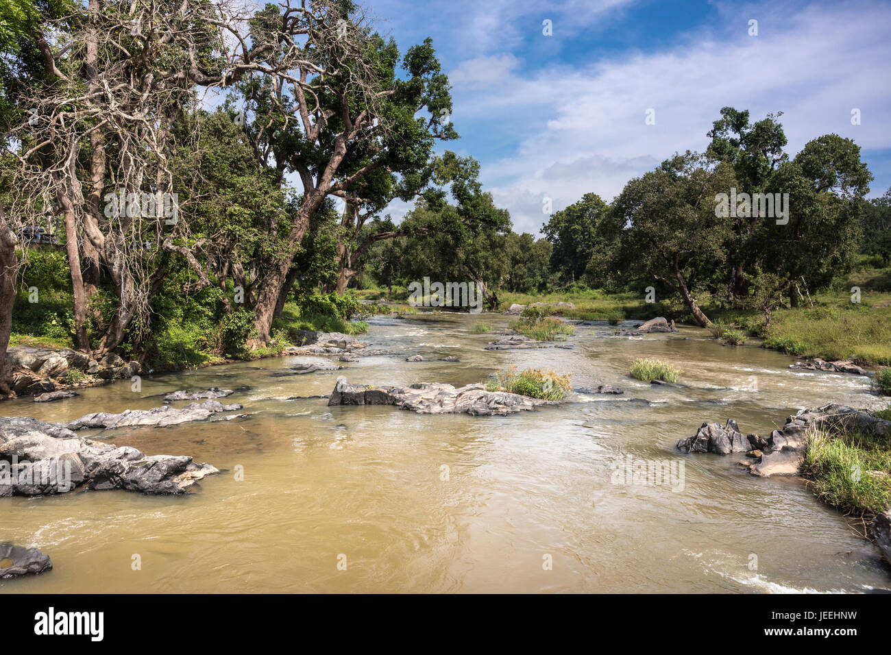 Il Tamil Nadu, India - 26 Ottobre 2013: il paesaggio colpo di fiume Moyar Masamigulli nella foresta. Acqua di colore marrone scorre su rocce attraverso la giungla verde onu Foto Stock