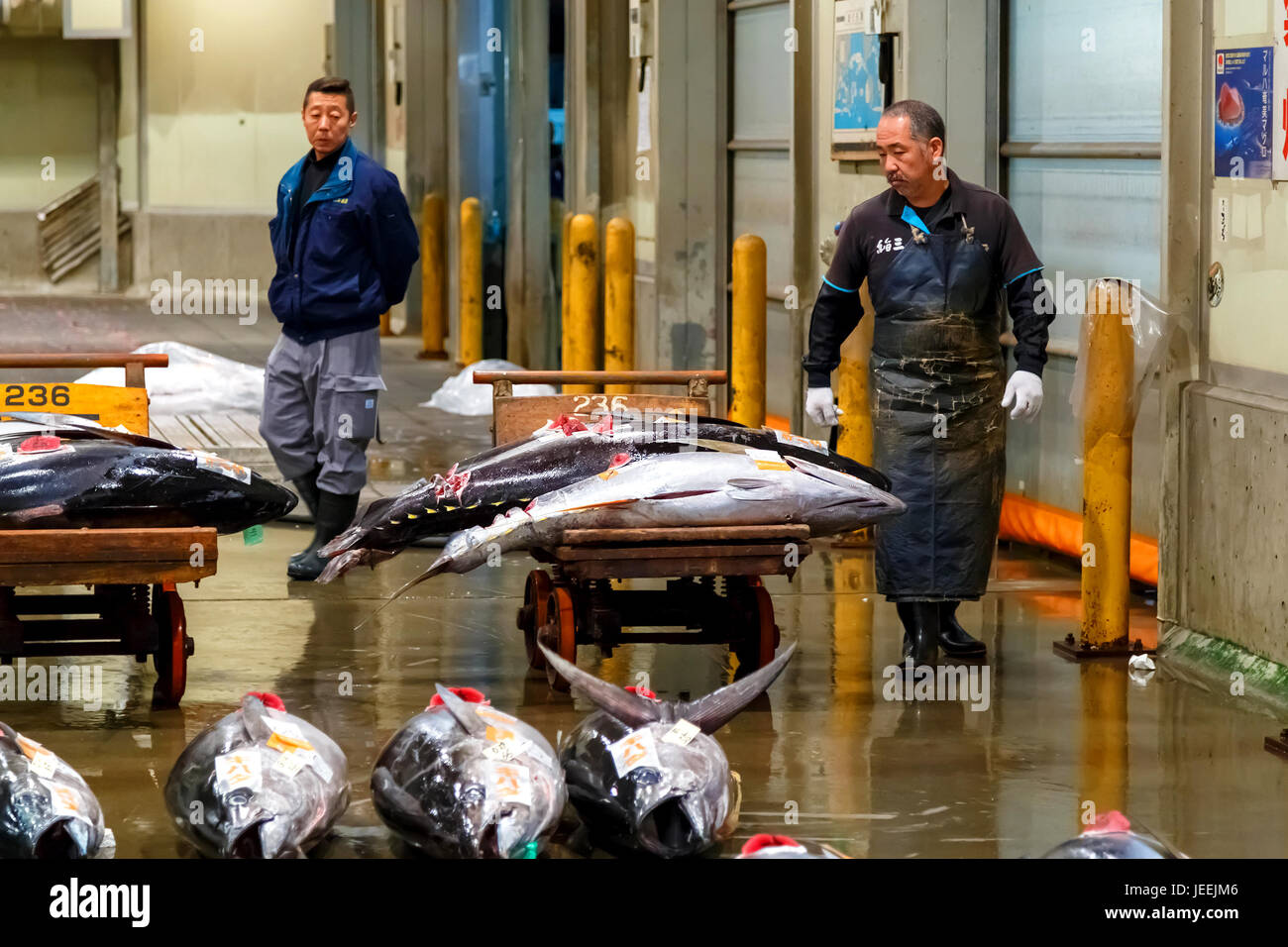 Osaka all'ingrosso centrale rinnovato come la cucina di Osaka ed è il più grande mercato del pesce nella regione di Kansai Foto Stock