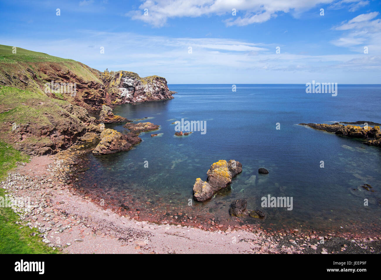St Abb di testa, promontorio roccioso e uccelli marini riserva naturale vicino al villaggio di Saint Abbs, Berwickshire, Scotland, Regno Unito Foto Stock