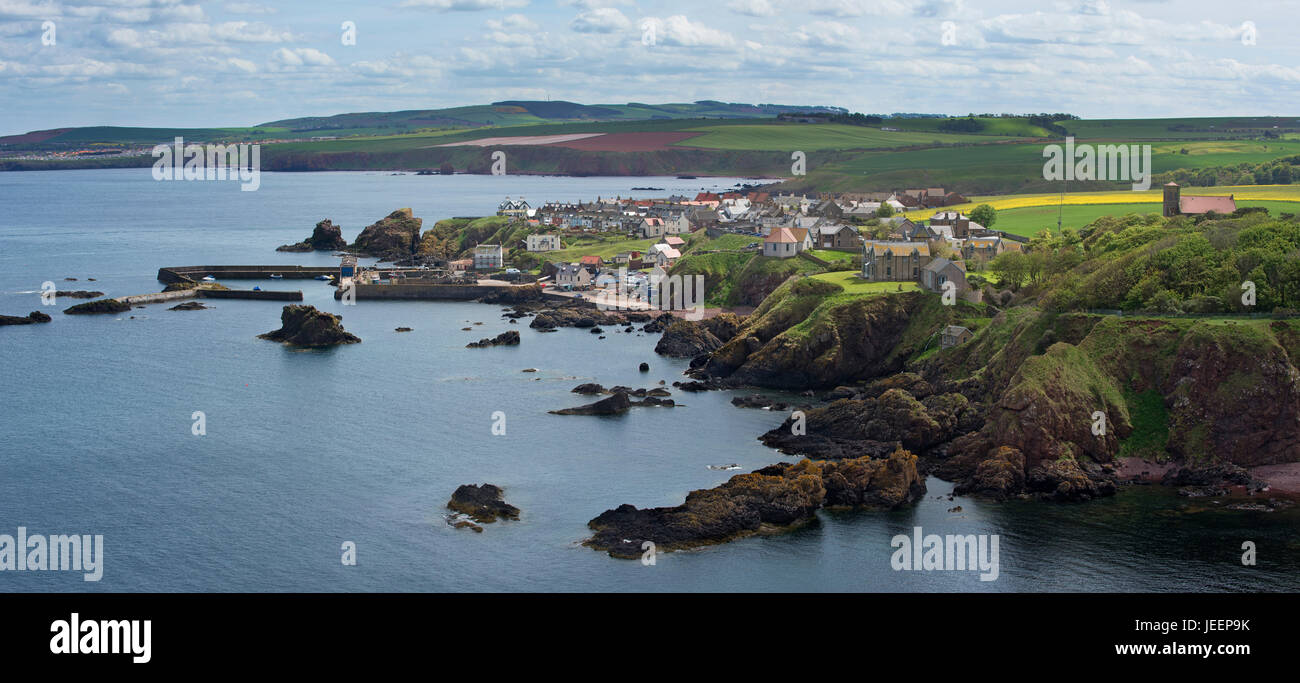 Il villaggio di pescatori di St Abbs visto dal lato sud di St Abb di testa, Berwickshire, Scotland, Regno Unito Foto Stock