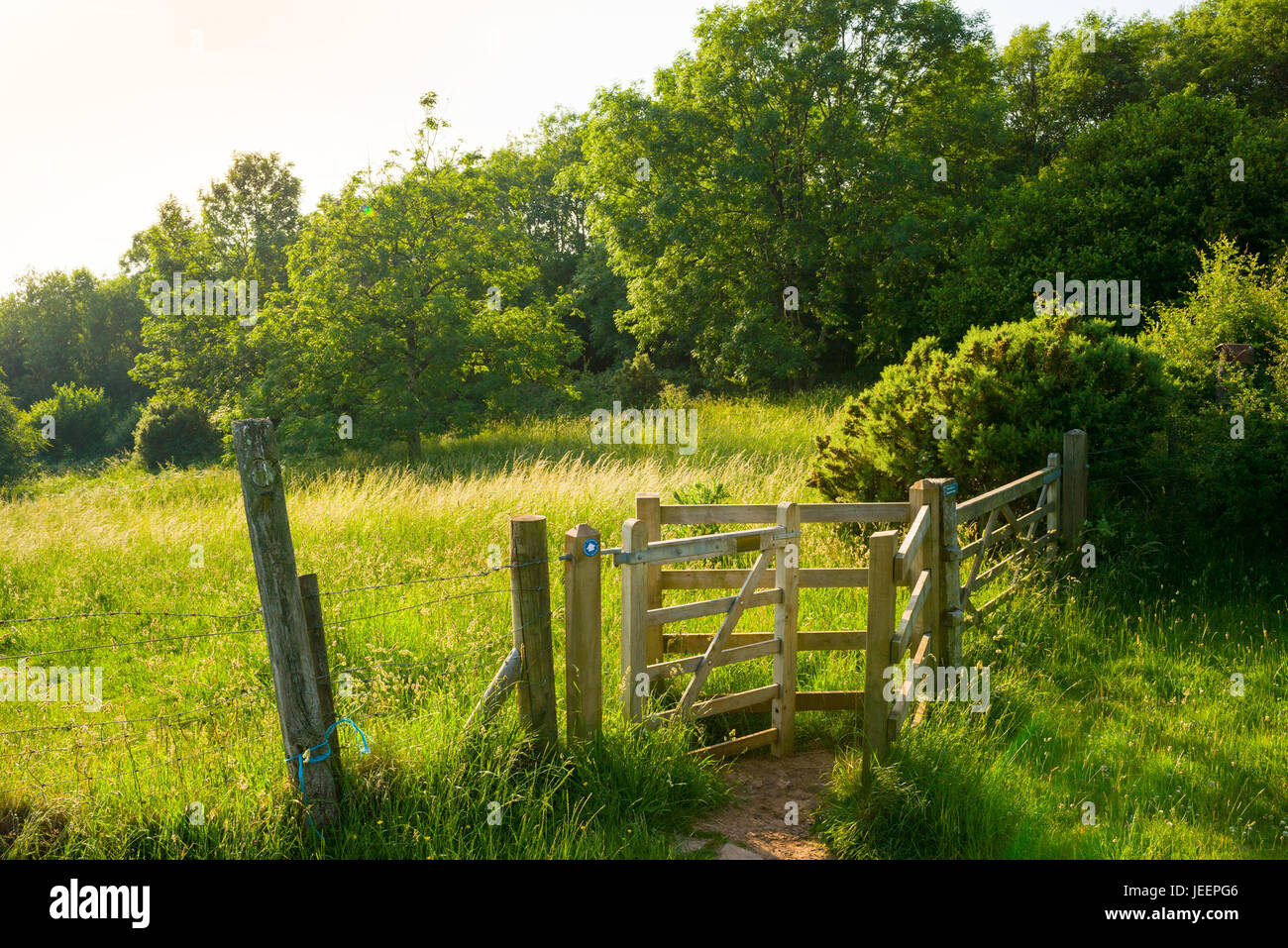 Un bacio porta sul West Mendip modo sentiero nella parte superiore della gola Ebbor su Mendip Hills, Somerset, Inghilterra. Foto Stock