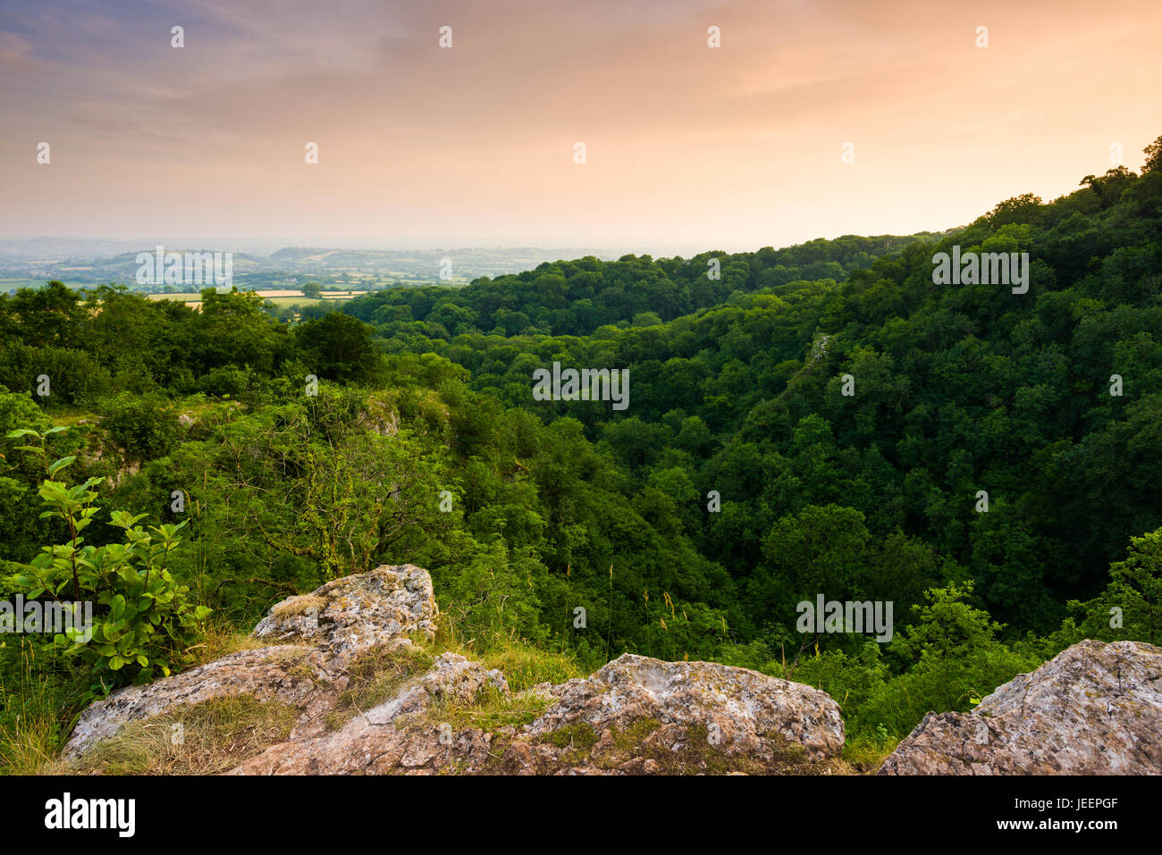 Serata estiva vista sulla gola Ebbor Riserva Naturale Nazionale in Mendip Hills, Somerset, Inghilterra. Foto Stock