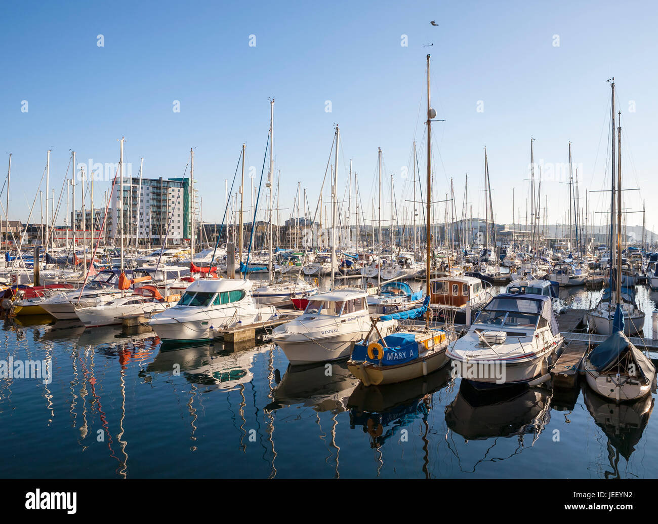 Barche ormeggiate ordinatamente in Sutton Harbour Marina al tramonto, il Barbican, Plymouth Devon, Inghilterra, Regno Unito Foto Stock