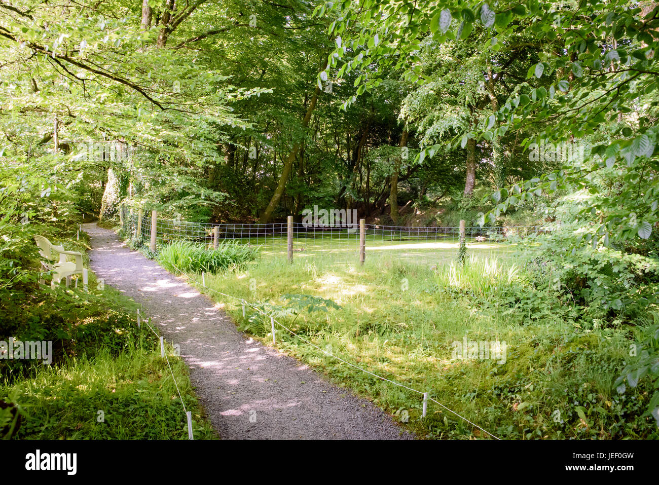 L'ingresso del selvaggio fiore giardino presso la riserva di Gnome Foto Stock