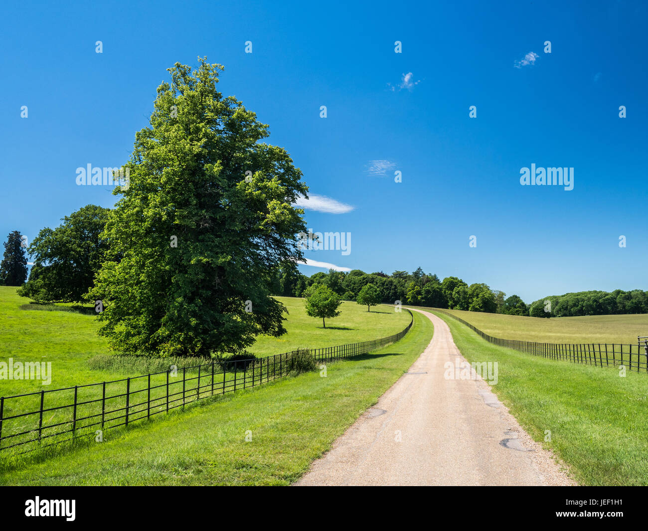 Un pallido country road sotto il cielo limpido e sfuggente in un lontano punto di fuga in una giornata di sole vicino a St Albans, Hertfordshire, Inghilterra. Foto Stock