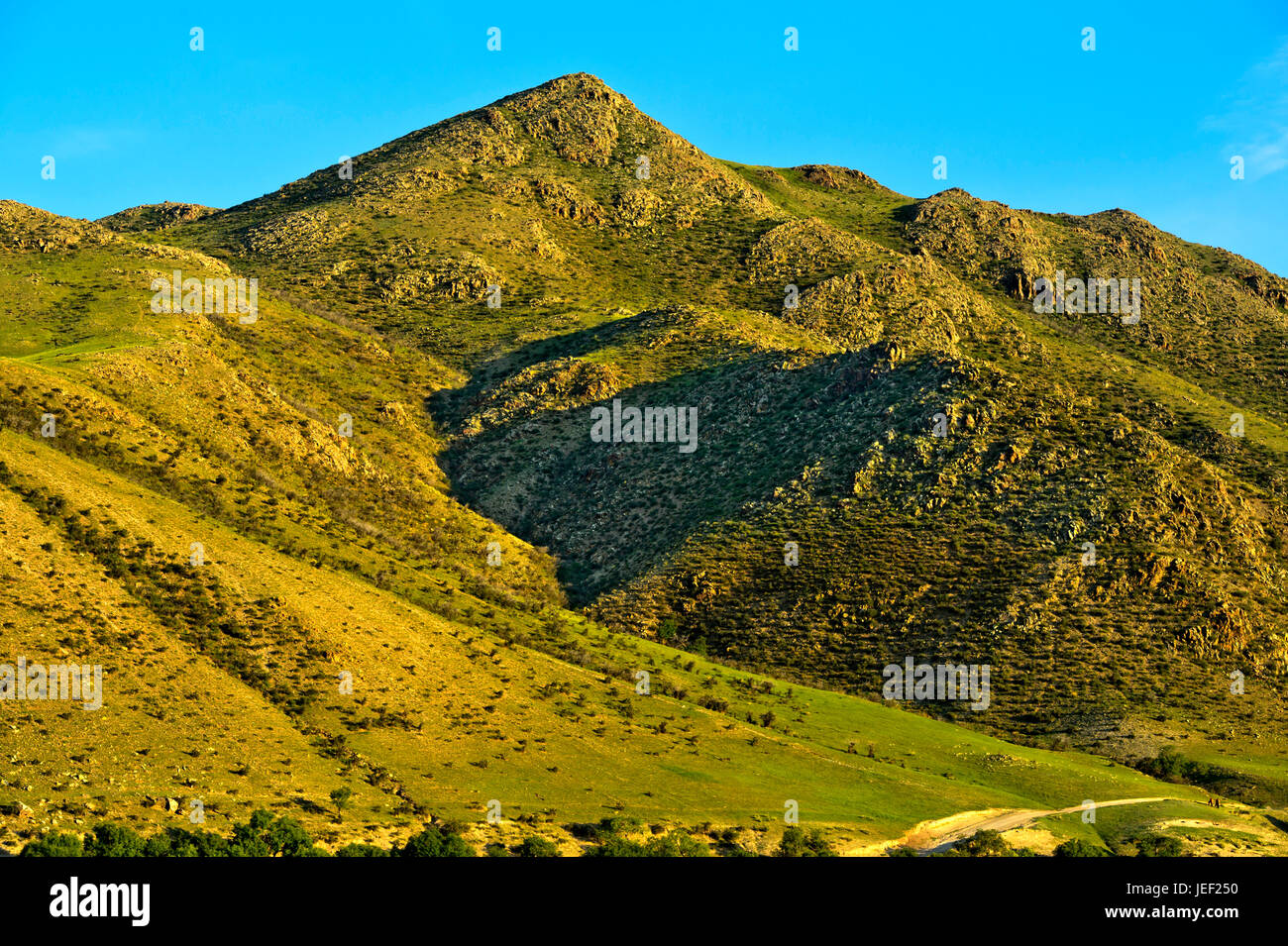 Erba collina coperta catena, Orchon Valley, Mongolia Foto Stock