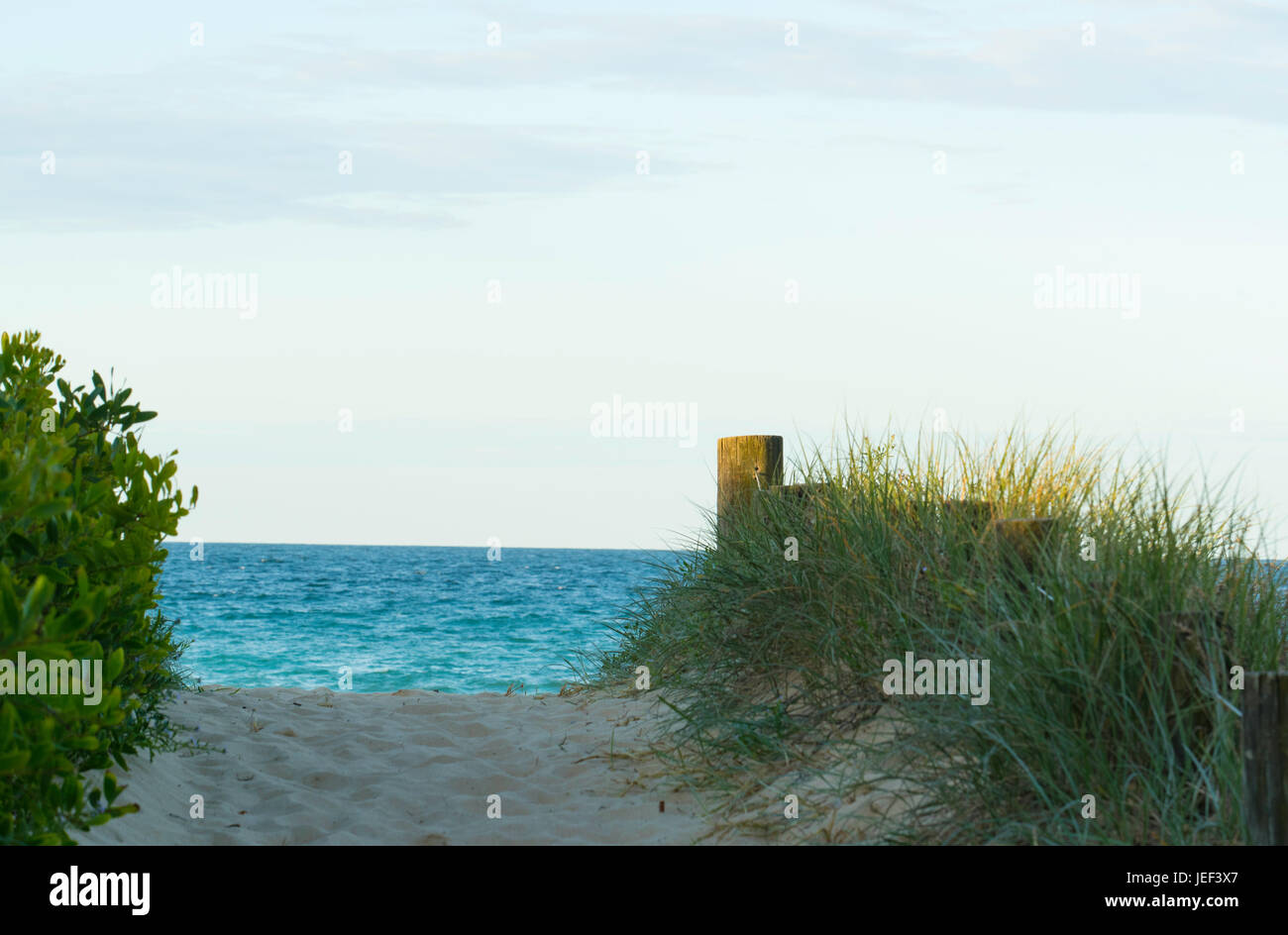 Un sentiero sabbioso conduce ad una spiaggia dell'Australian east coast Foto Stock