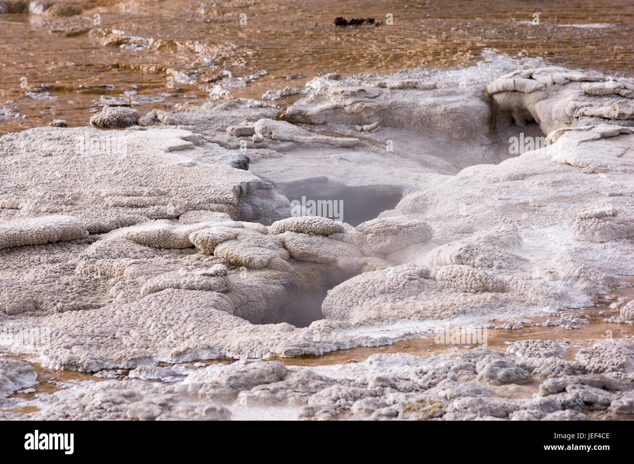 Paesaggi del parco nazionale di Yellowstone, Landschaft im Nationalpark Yellowstone Foto Stock