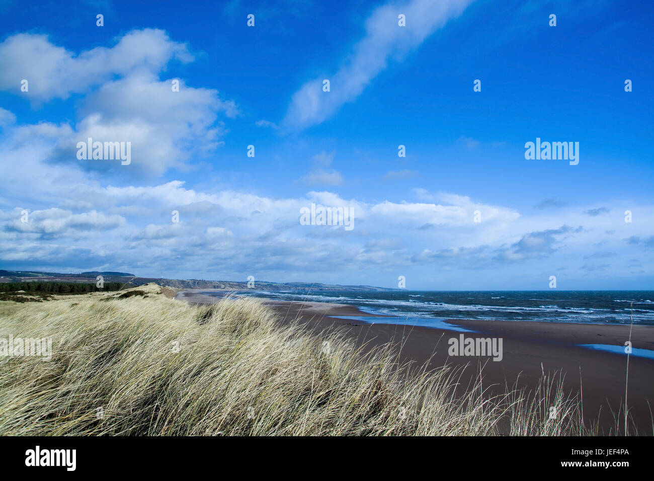 Costa est della Scozia, Inghilterra, accettato in febbraio a ventoso., Ostküste Schottlands, aufgenommen in Februar bei windigem Wetter. Foto Stock
