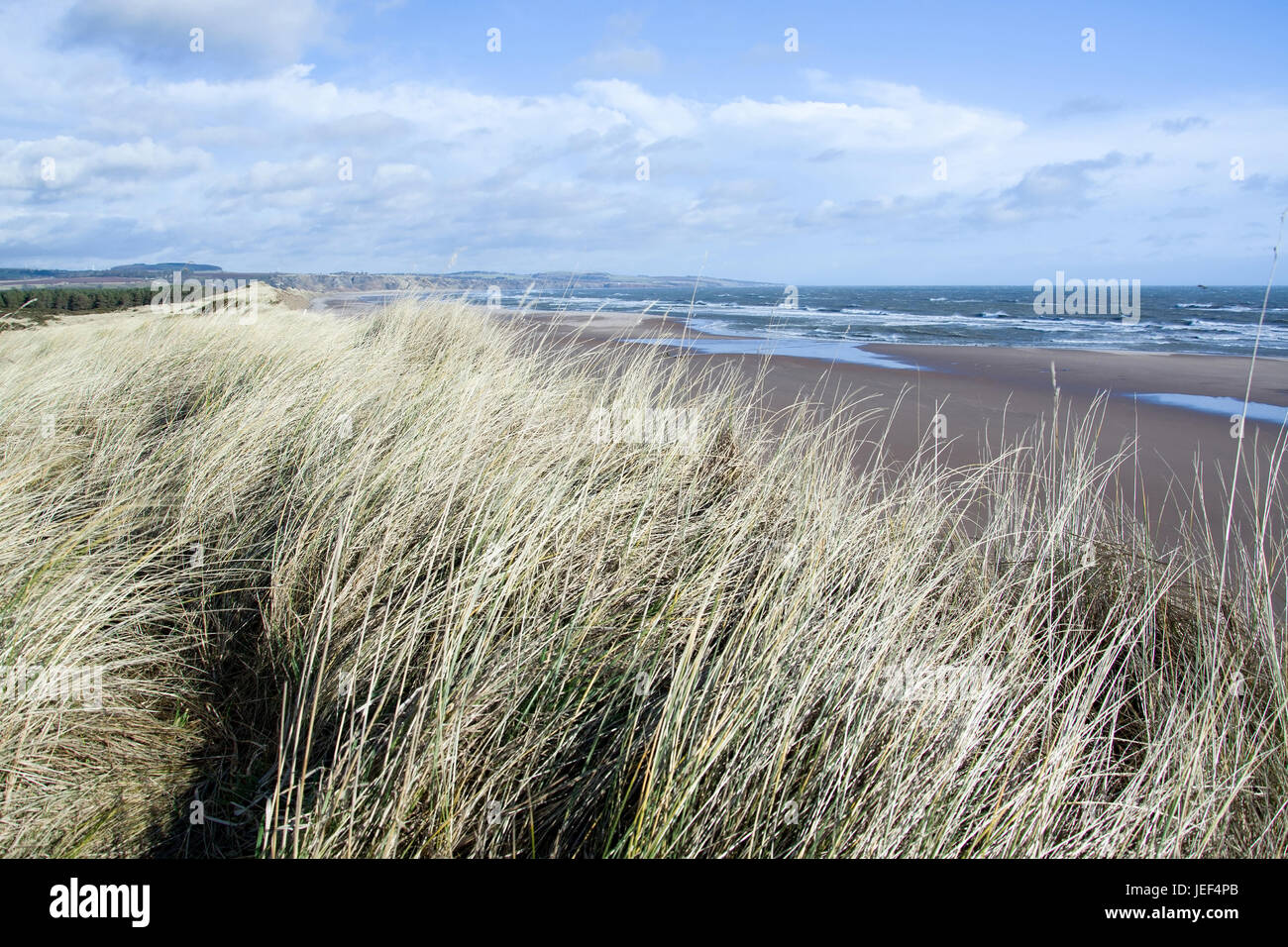 Costa est della Scozia, Inghilterra, accettato in febbraio a ventoso., Ostküste Schottlands, aufgenommen in Februar bei windigem Wetter. Foto Stock