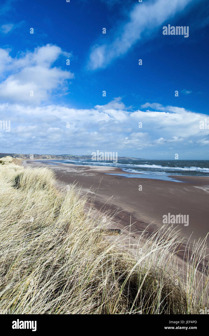 Costa est della Scozia, Inghilterra, accettato in febbraio a ventoso., Ostküste Schottlands, aufgenommen in Februar bei windigem Wetter. Foto Stock