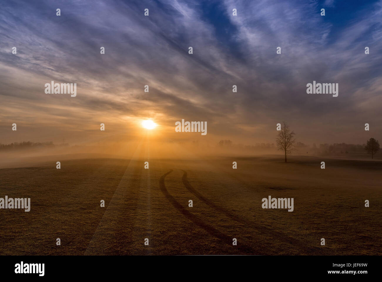 Al mattino in Baviera con salendo nebbia., Morgens in Bayern mit aufsteigendem Nebel. Foto Stock