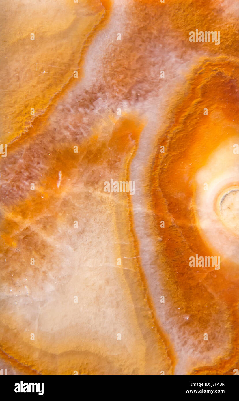 Agglomerato calcareo, Egitto Foto Stock