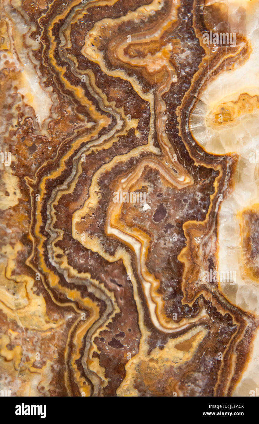 Agglomerato calcareo, Roma, Italia Foto Stock