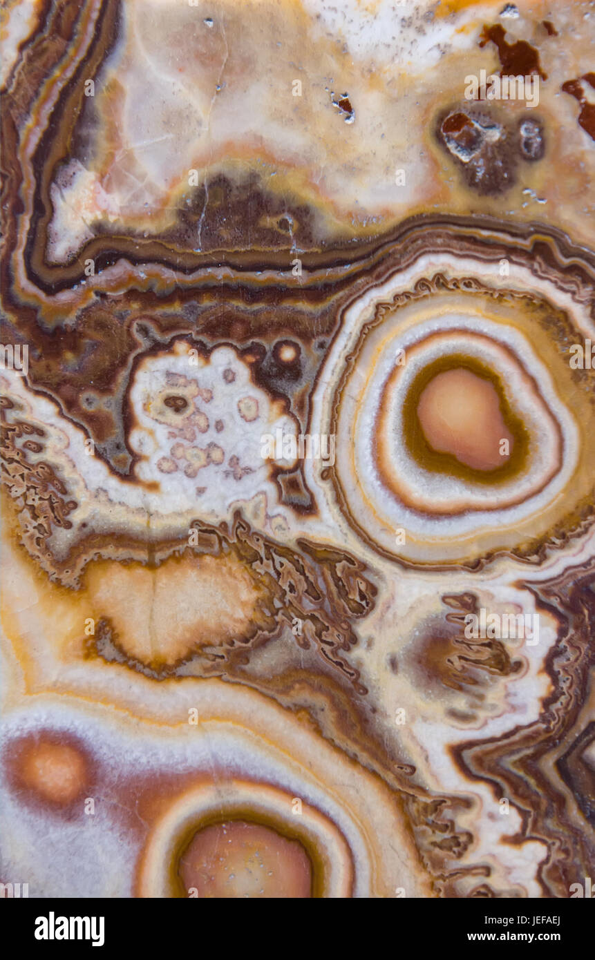 Di natura calcarea sullo sfondo di sinterizzazione Foto Stock