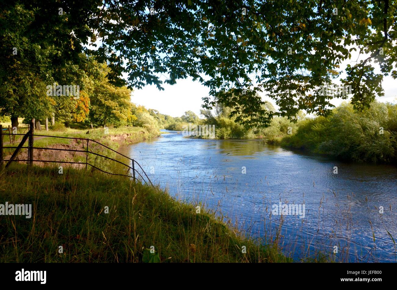 Il fiume Clyde di Baroni Haugh in Motherwell Foto Stock