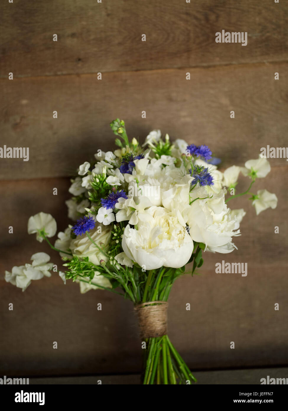 Fiori di estate Foto Stock