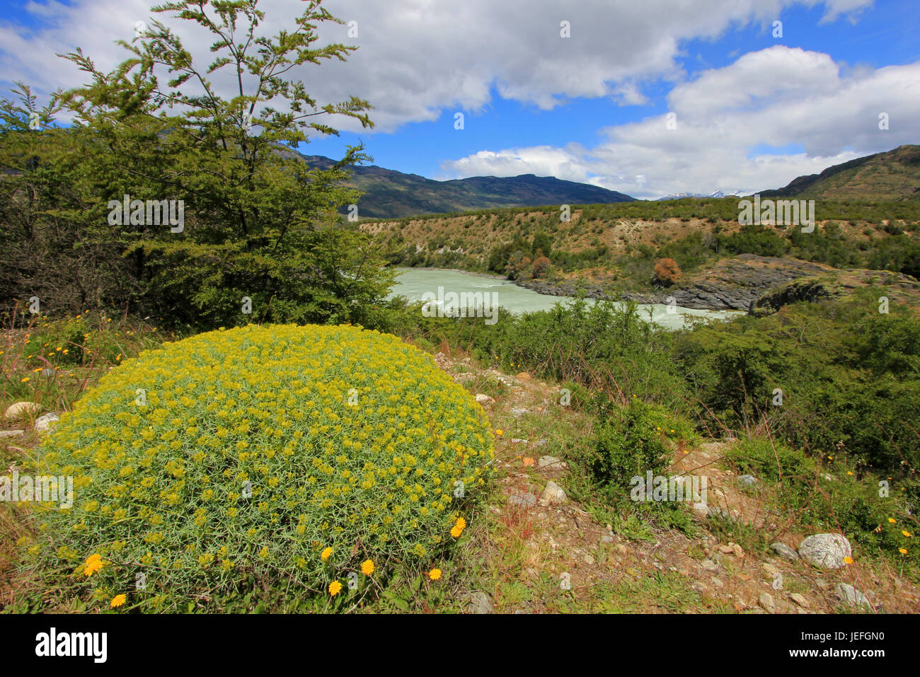 Blu profondo fiume Baker, Carretera Austral, Route 7 Cile Foto Stock