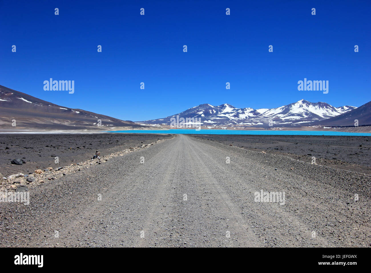 Bella e verde Laguna, Laguna Verde, vicino mountain pass San Francisco e del Nevado Ojos del Salado, Atacama, Cile Foto Stock