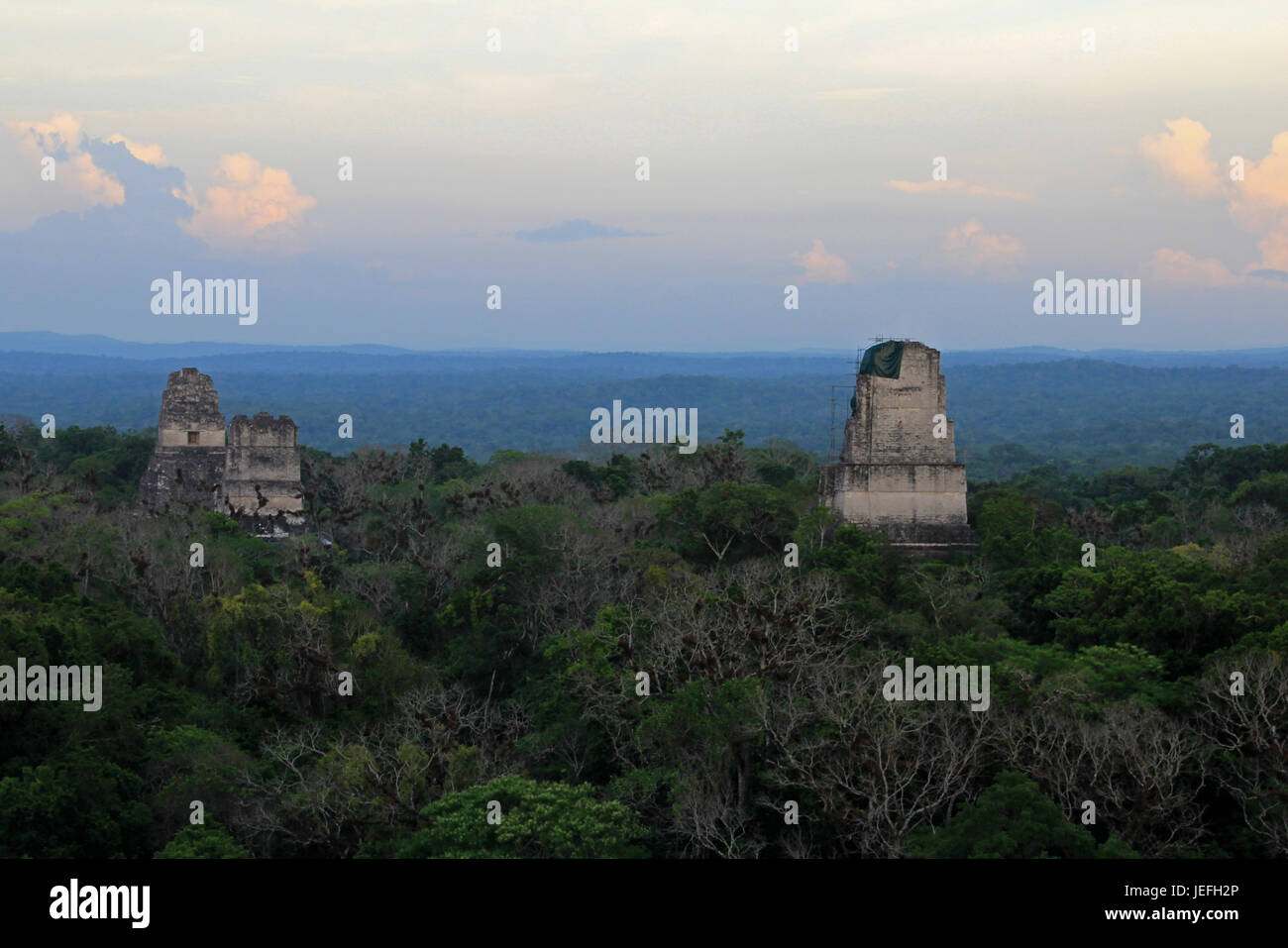 Le rovine maya Tikal Guatemala Foto Stock