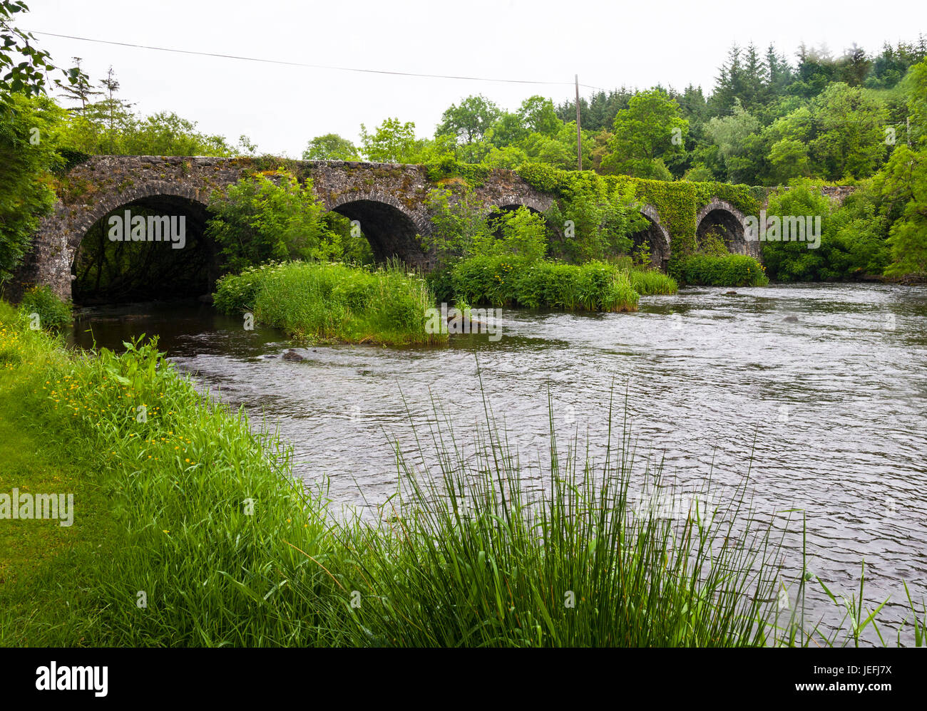 Il fiume Shannon che scorre sotto la Battlebridge vicino a Leitrim Village, nella Contea di Leitrim, Irlanda Foto Stock