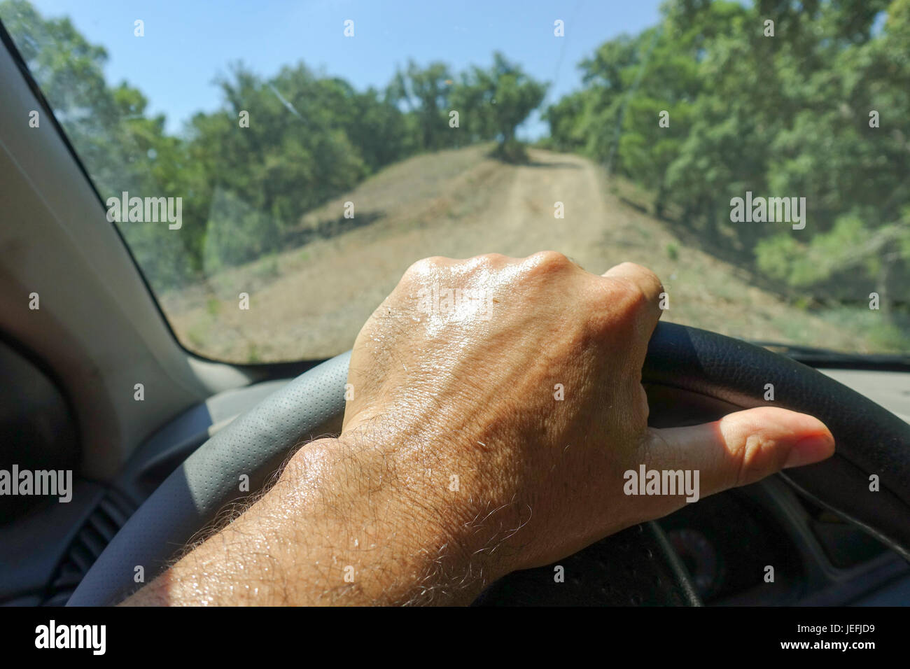 Bagnata di sudore, mano sul volante, all'interno dell'auto, vicino a secco la foresta mediterranea. Spagna. Foto Stock